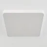 Потолочный светильник Citilux CL724K95G0
