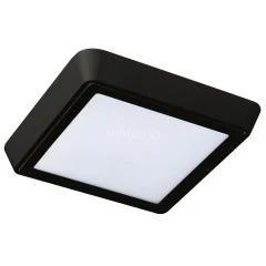 Настенно-потолочный светильник Lightstar 216872