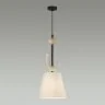 Подвесной светильник Odeon Light 5410/1