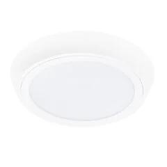Настенно-потолочный светильник Lightstar 216904