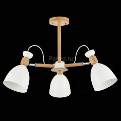 Потолочная люстра Evoluce SLE103802-03