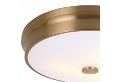 Потолочный светильник Favourite 2375-3C