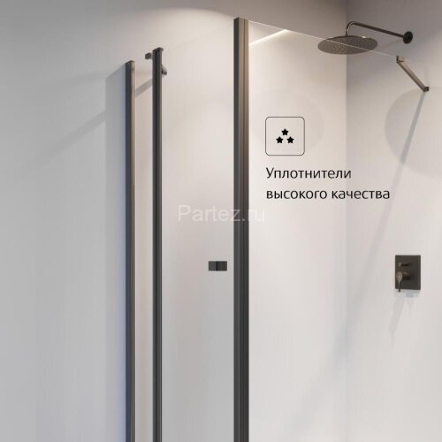 Душевое ограждение Roca Capital боковая панель 90x195, черный (M4409016M)