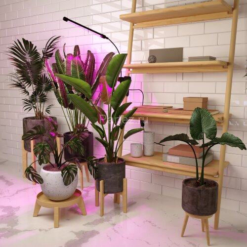 Настольная лампа для растений Elektrostandard FT-004 чёрный