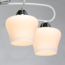 Потолочная люстра MW-Light 324017704