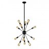Потолочная люстра iLamp Loft209-12B