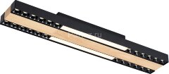 Потолочный светильник F-Promo 4440-2C