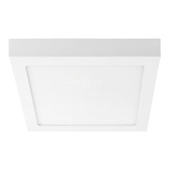 Настенно-потолочный светильник Lightstar 324184