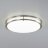Настенно-потолочный светильник Citilux CL709501N
