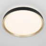 Потолочный светильник Citilux CL751451G