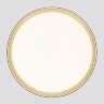 Потолочный светильник Citilux CL751451G