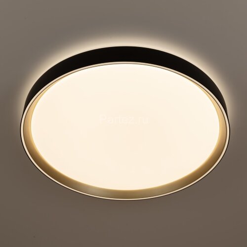 Потолочный светильник Citilux CL751451G