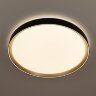 Потолочный светильник Citilux CL751451G