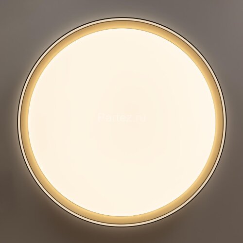 Потолочный светильник Citilux CL751451G
