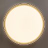 Потолочный светильник Citilux CL751451G