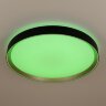 Потолочный светильник Citilux CL751451G