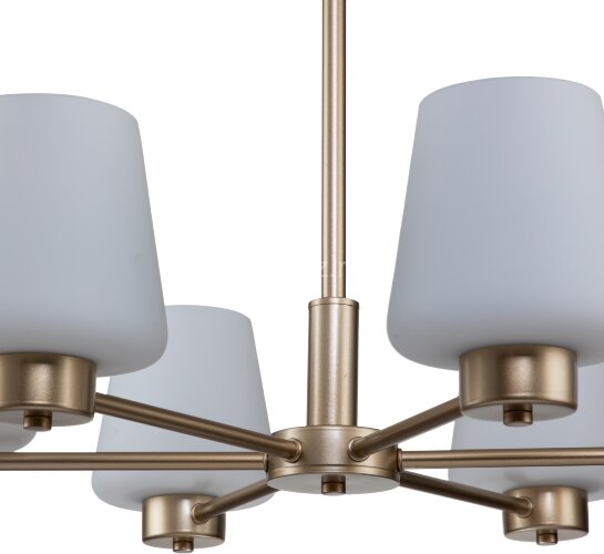 Подвесная люстра Indigo V000001