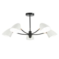 Потолочная люстра Evoluce SLE103602-05