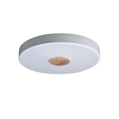 Потолочный светильник Loft It 10003/24 White