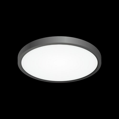 Потолочный светильник Citilux CL738241V
