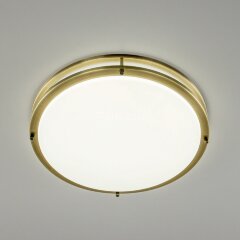 Настенно-потолочный светильник Citilux CL709503N