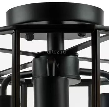 Потолочная люстра Lightstar 798237