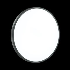 Настенно-потолочный светильник Sonex 3012/DL