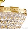 Потолочная люстра Bohemia 19321/25IV/LED-DIM G
