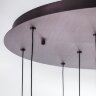 Потолочная люстра Lightstar 796229