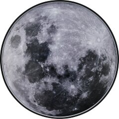 Настенно-потолочный светильник Escada 605/S LED Moon