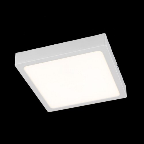 Потолочный светильник Citilux CL55K22N