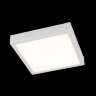 Потолочный светильник Citilux CL55K22N