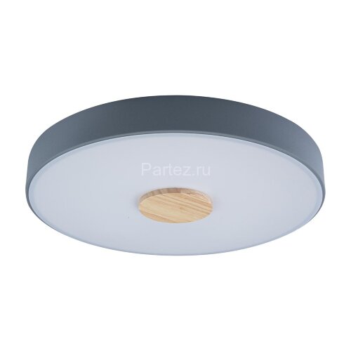 Потолочный светильник Loft It 10003/24 Grey