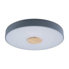 Потолочный светильник Loft It 10003/24 Grey