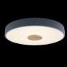 Потолочный светильник Loft It 10003/24 Grey