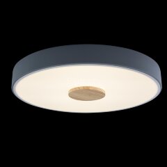 Потолочный светильник Loft It 10003/24 Grey