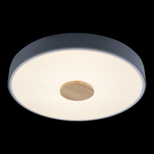 Потолочный светильник Loft It 10003/24 Grey