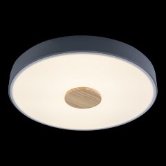 Потолочный светильник Loft It 10003/24 Grey