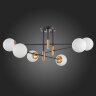 Потолочная люстра ST Luce SL1203.402.06