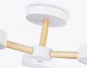 Потолочная люстра Ambrella FL4821