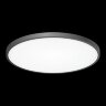 Потолочный светильник Citilux CL738501V
