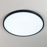 Потолочный светильник Citilux CL738501V