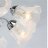 Потолочная люстра MW-Light 372015108