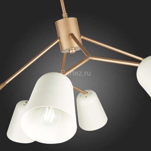 Потолочная люстра Evoluce SLE155902-08