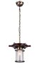 Подвесной светильник ST Luce SL150.303.01