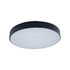Потолочный светильник Loft It 10002/24 Black