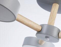 Потолочная люстра Ambrella FL4822