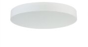 Потолочный светильник Donolux C111052WN100W