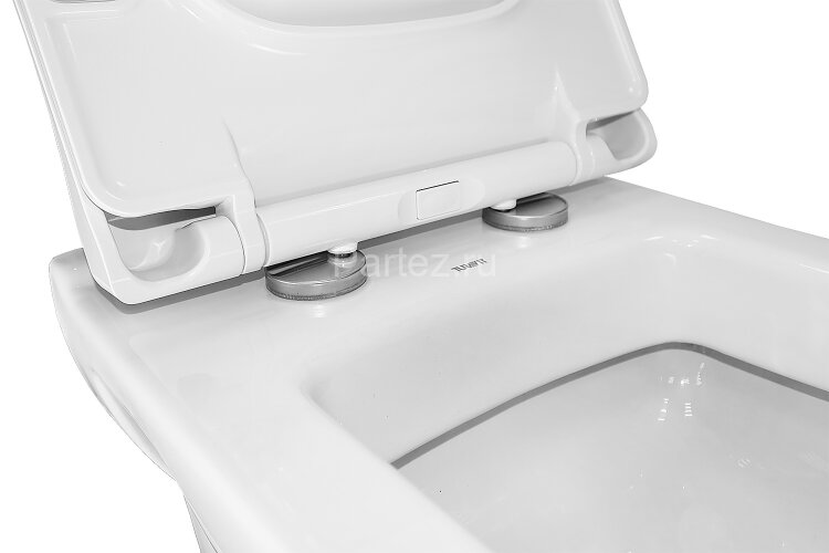 Унитаз подвесной Turavit PLAZA 352х524х345 в комплекте с тонким сиденьем микролифт (PLZ 1710+0419)