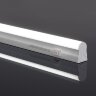 Настенно-потолочный светильник Elektrostandard 55000/LED